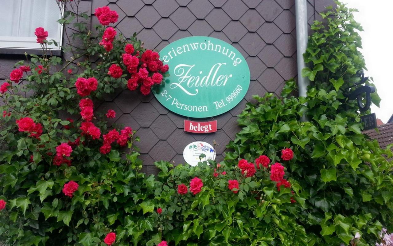 Ferienwohnung Zeidler Braunlage Ngoại thất bức ảnh